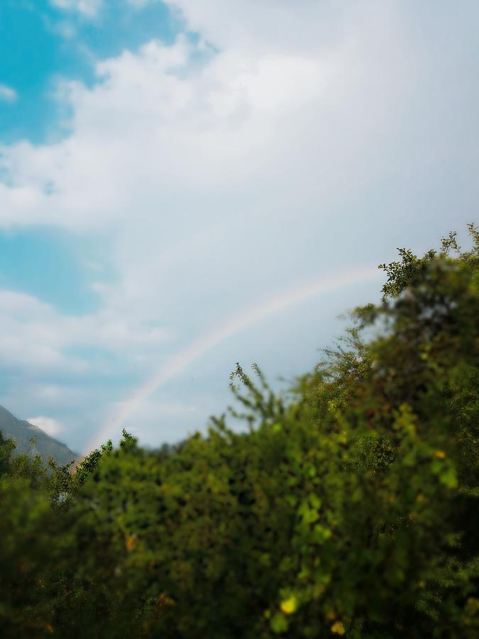 Guest House Racha Ambrolauri Zewnętrze zdjęcie